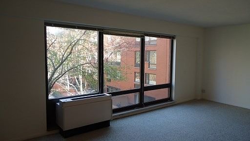 5th image of 1115 S Plymouth Ct APT 308