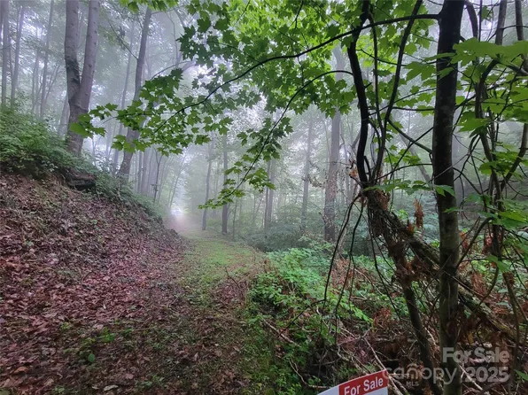 2100 Chambers Mountain Rd, Clyde, NC 28721