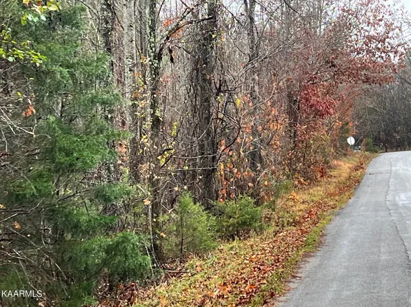 LOT-13R Rayl Hollow Rd, Decatur, TN 37322