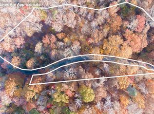 Reagan Springs Rd, Seymour, TN 37865