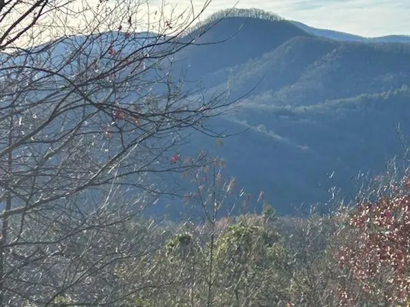 11 The Ridges Bill #Bro, Hiawassee, GA 30546