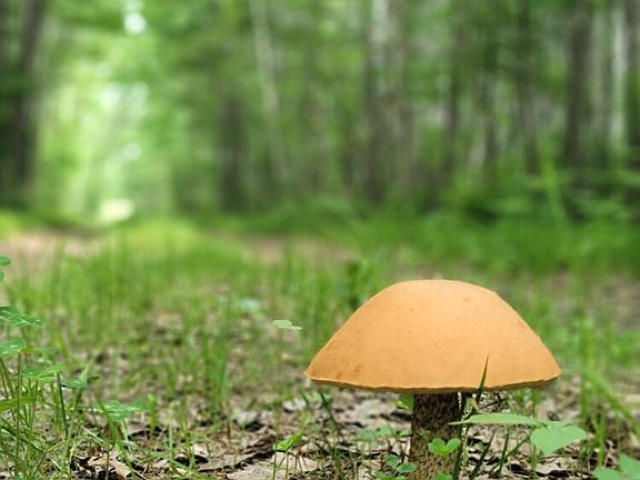 Private Hunting Getaway