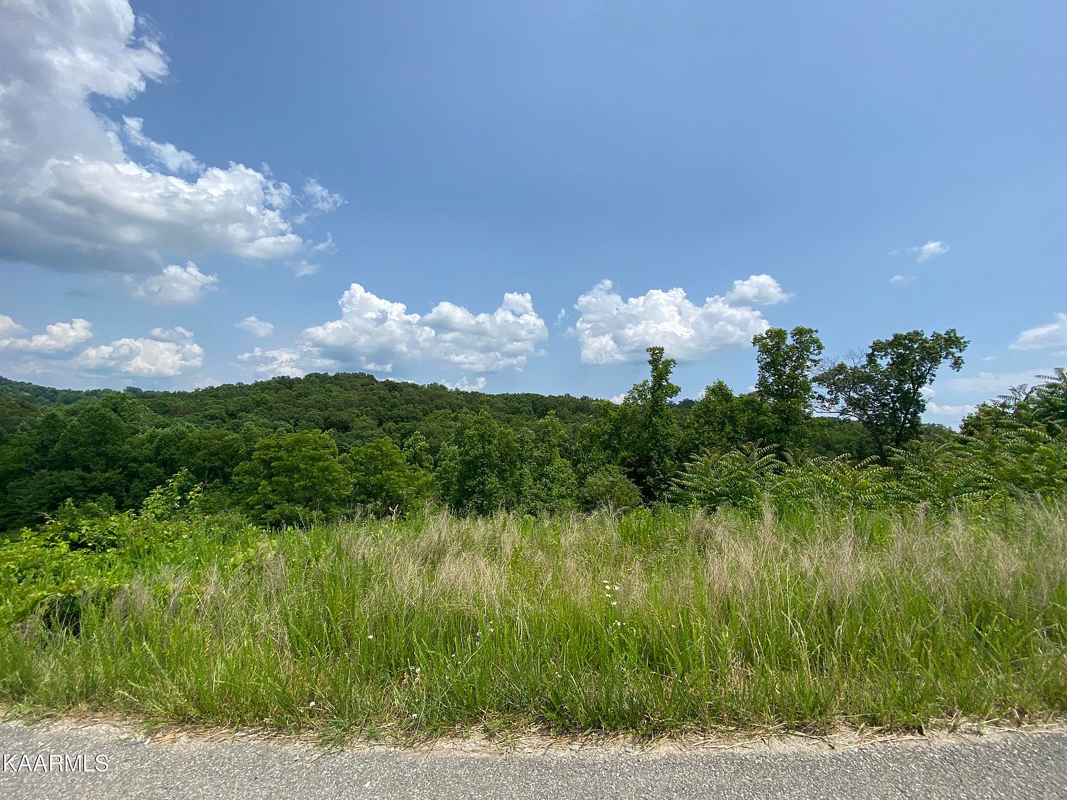 6 Cameron Loop, La Follette, TN 37766 Zillow