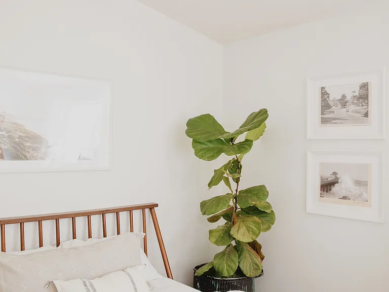5605 Woodrow Ave #2 — Photo 12
