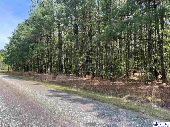 Mta 7 Heustess Rd, Little Rock, SC 29567