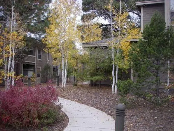 Grounds