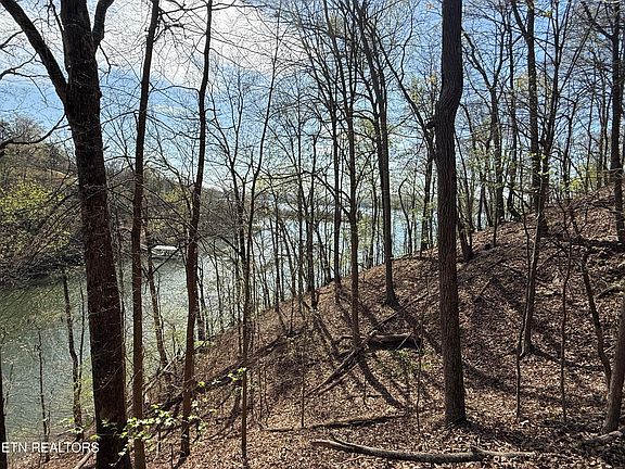 3rd image of 40 Eerie Point #40