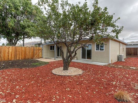 backyard1