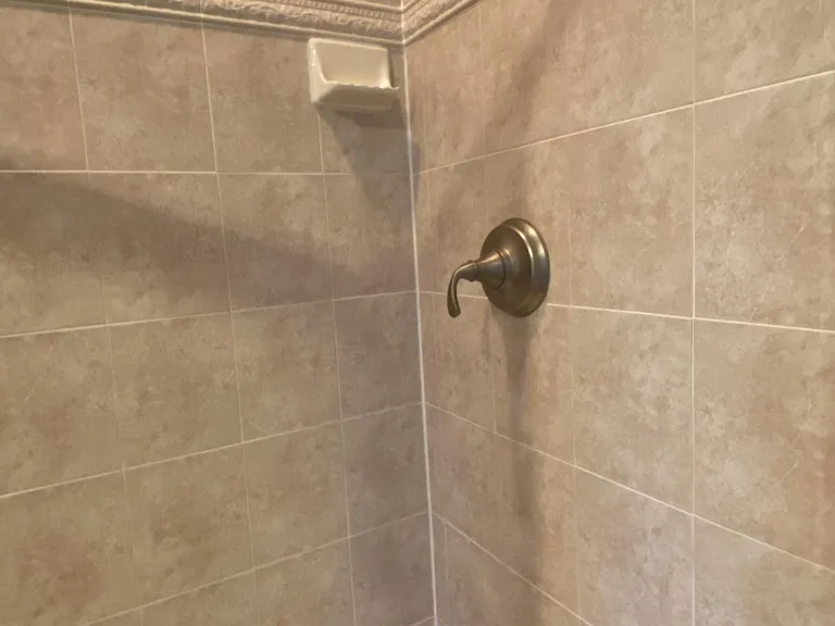 Primary bathroom shower