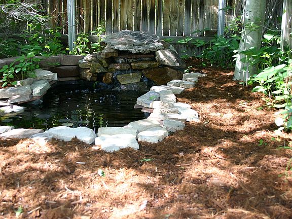 Small pond