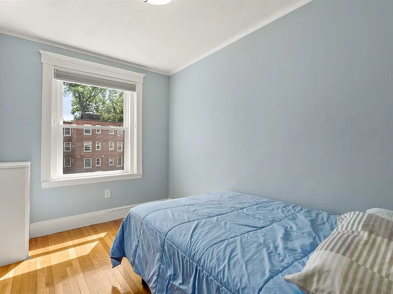 20 Egmont St #4 — Photo 14