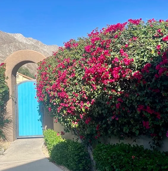 53700 Avenida Madero — Photo 27