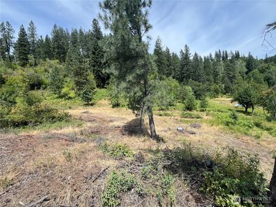 0 1 TBD Mitchell Road, Northport, WA, 99157