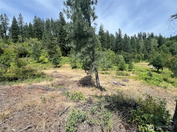 0 1 TBD Mitchell Road, Northport, WA 99157