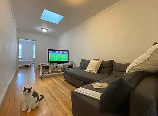 Rented by Bedford 6 Real Estate | media 15