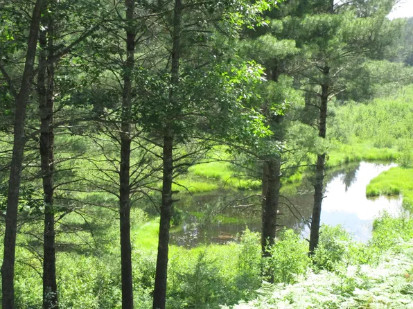 14796 Shoreline Dr, Wolverine, MI 49799
