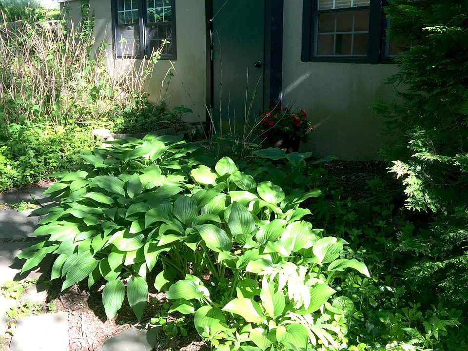 walk in basement apartment in woodsy serene area