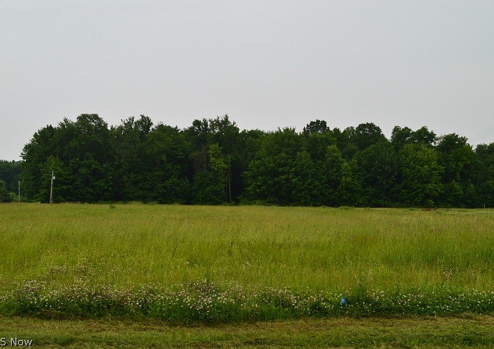 2nd image of Webster Rd