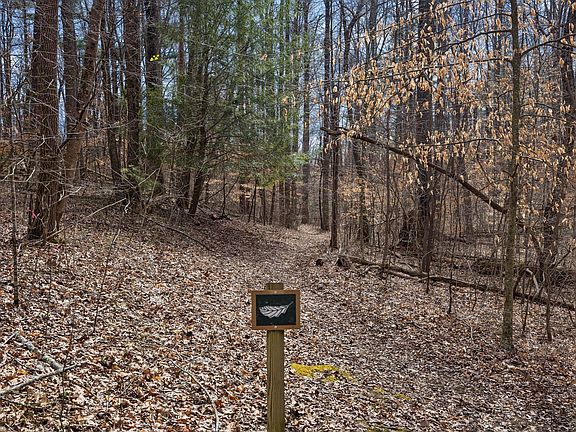 9th image of this home