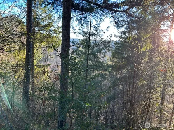 194 XX SE Jones Road, Renton, WA 98058