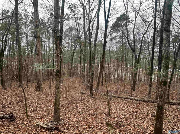 0.62 Riddles Bend Rd, Rainbow City, AL 35906