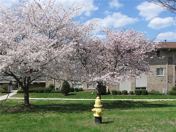 2nd image of 7834 Parke West Dr APT 104