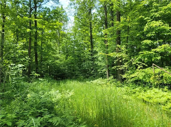 00 Cedar Swamp Road, Weyerhaeuser, WI 54895