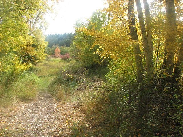 Private Path to River