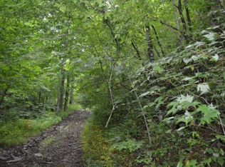 Black Mash Hollow Rd, Townsend, TN 37882
