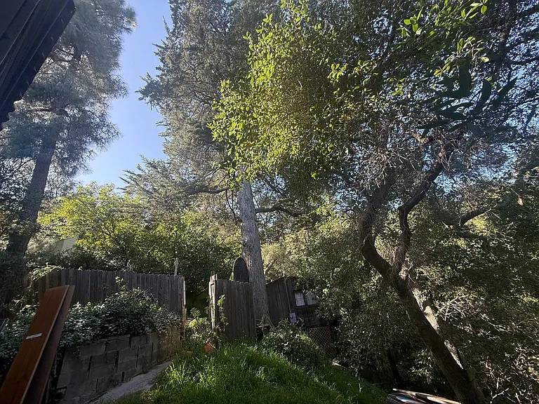 19513 Bowers Dr #1 — Photo 7