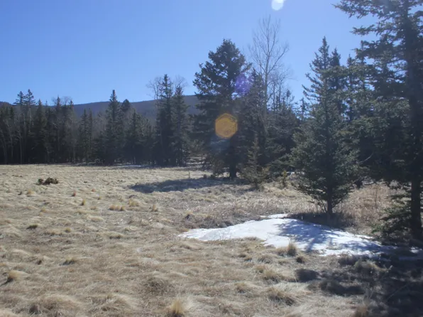 106 Quail Rdg, Angel Fire, NM 87710