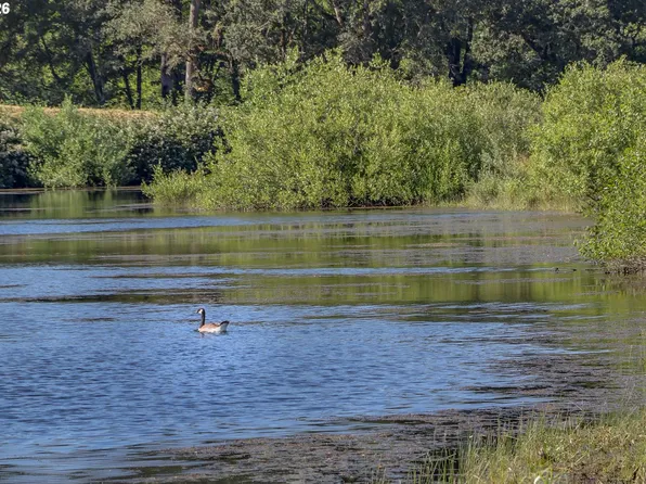 Delight Valley, Cottage Grove, OR 97424