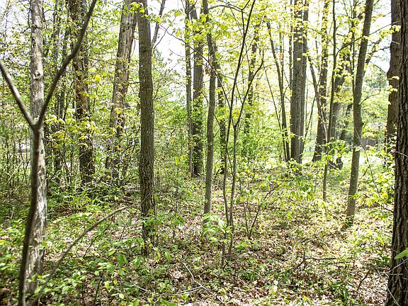 3rd image of LOT 44 Honey Ln