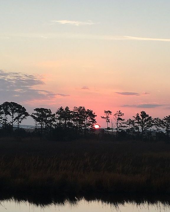 1st image of 3903 Tarkle Ridge Dr