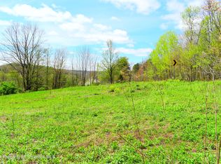 Liberty Park Rd, Hallstead, PA 18822