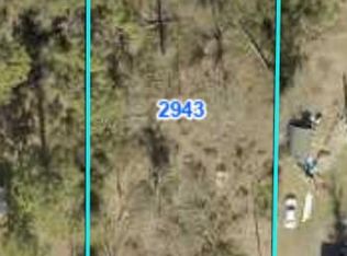 2943 Stapleton Dr, Donalsonville, GA 39845