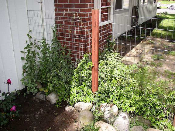 To the left of the front door.
