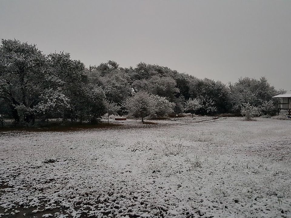 1st image of 13905 County Road 1196