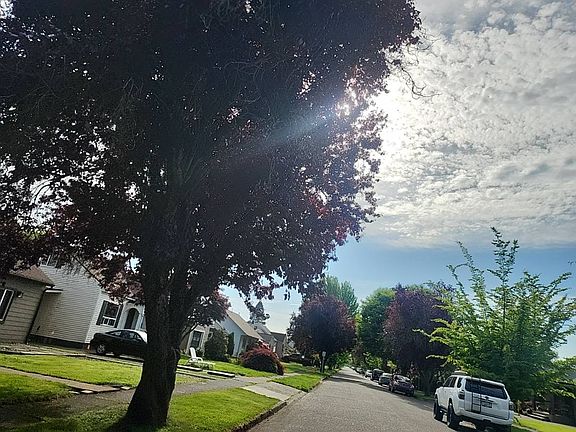 5th image of 2833 Field St