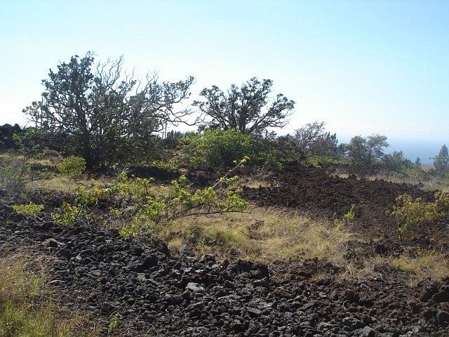 1st image of Bougainvillaea Dr Lot 3