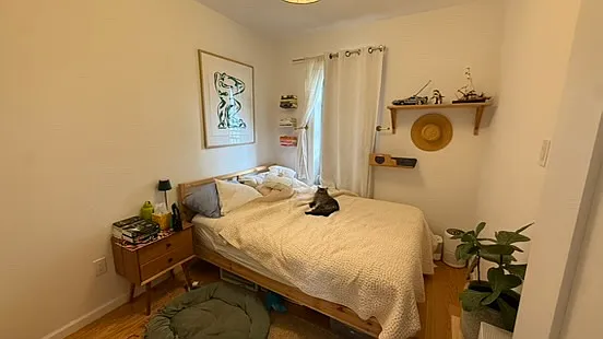1224 Halsey St #3 — Photo 6