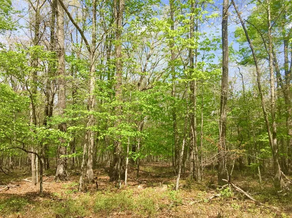 6 Laurel Lake Dr Lot 6, Monteagle, TN 37356