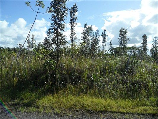 1st image of 2nd Ave Lot 1442