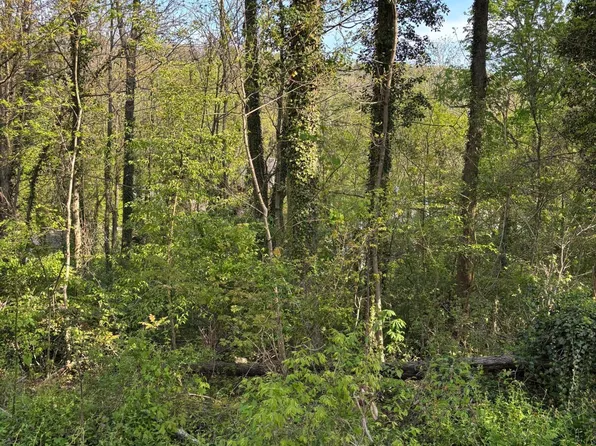 LOT 17 Ashley St, Kingsport, TN 37664