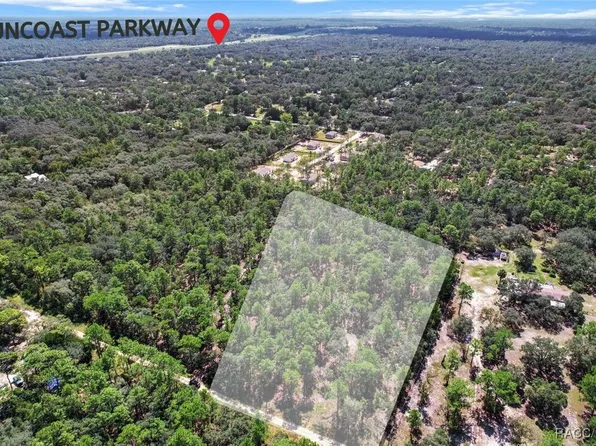 4716 W Herman Ct, Homosassa, FL 34446