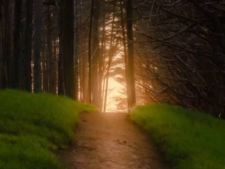 Another beautiful trail next to the ocean