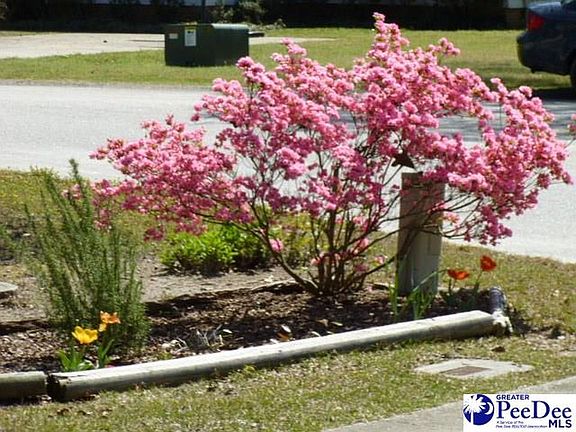 Landscaping has great color.