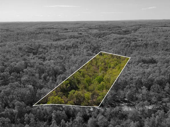 Tract 22 County Road 76- 126, Ava, MO 65608