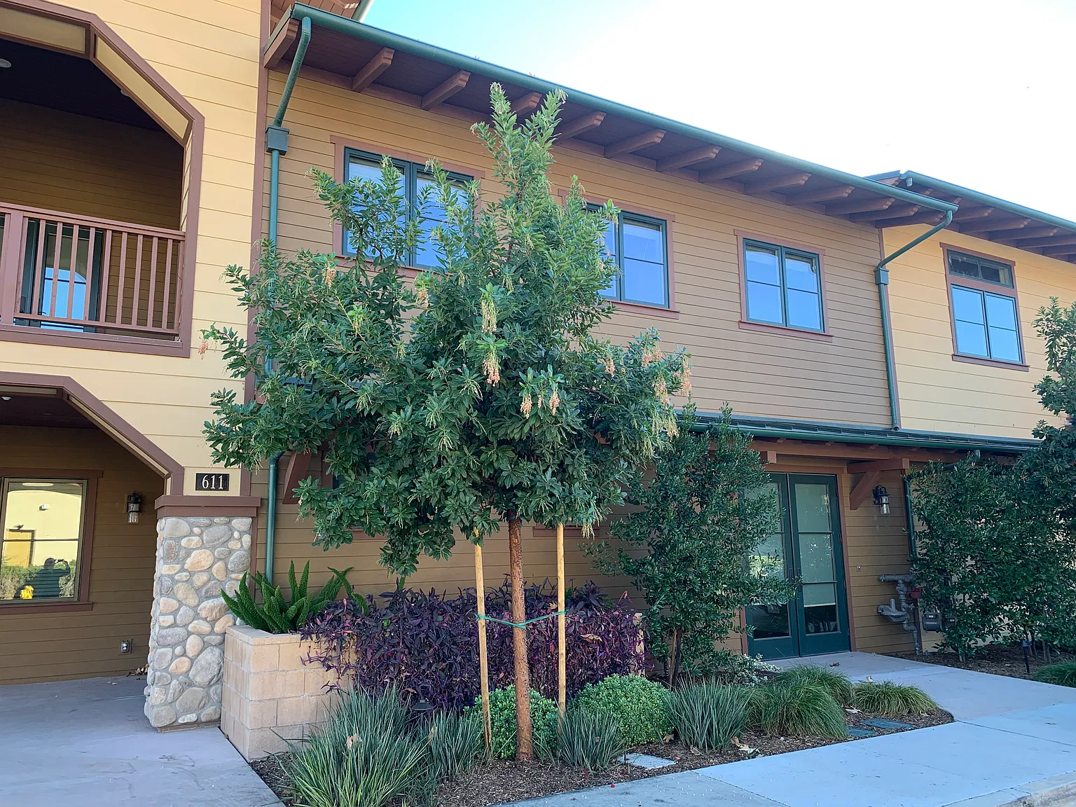 3 bed, 2.5 bath, 3721 sqft, $6,500 — Photo 4