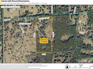 NW 160TH STREET, REDDICK, FL 32686